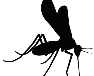 Zika NS1 Mab 1225-06-1mg