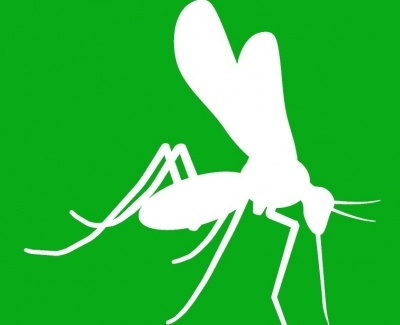 Anti-Zika Envelope Mab 1176-66 1mg