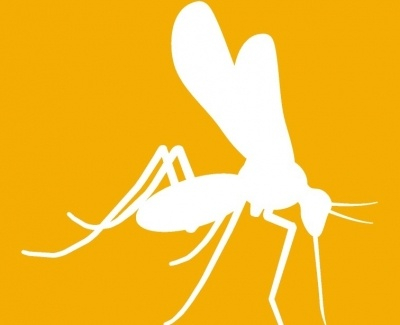Anti-Zika Envelope Mab 1176-46-500 ug