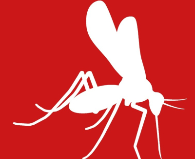 Zika NS5 Mab 8B8 1 mg