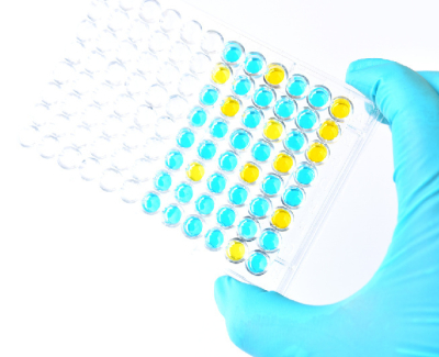 CUSTOM ELISA ASSAY