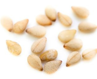 AllerTrace Sesame LFD (20 tests)