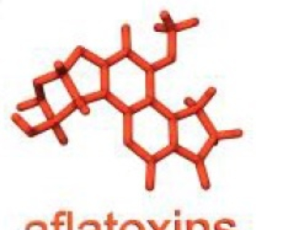 MYCOTOXINS- AFLATOXINS & MULTI-MYCOTOXINS